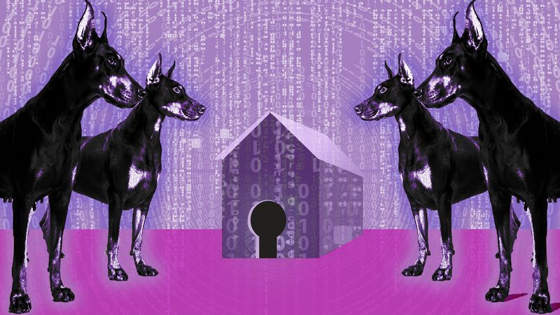 des chiens de garde veillent sur nos données