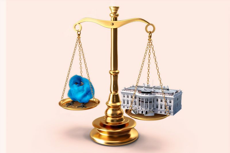 Un oiseau bleu se balance sur une balance en face de la Maison Blanche.