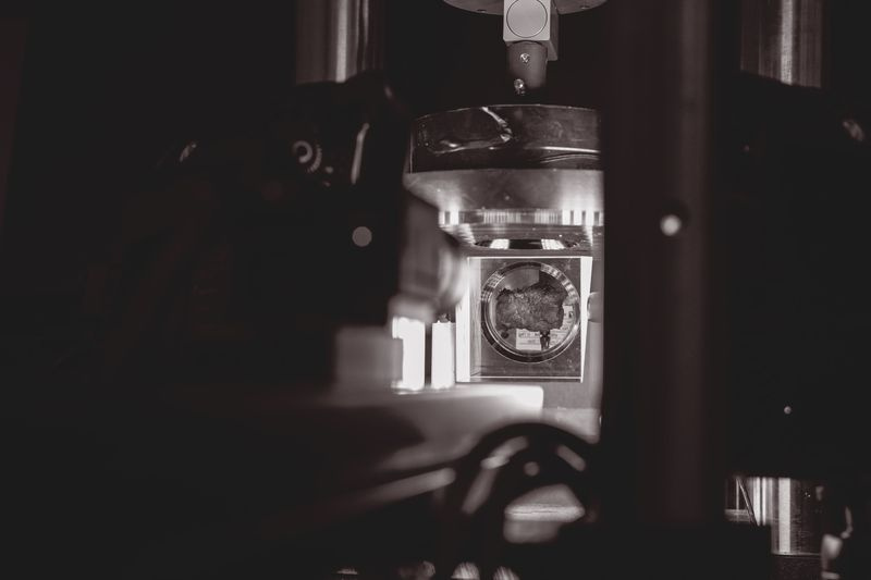 Échantillon de tissu utérin dans une machine d
