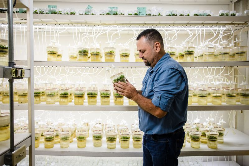 Photo de William Solanos tenant un récipient en plastique contenant des plants de café en pleine croissance