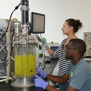 Greenlight Biosciences chercheurs