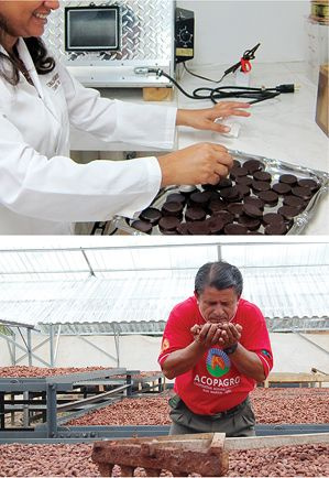 chocolat dans la serre et le labo
